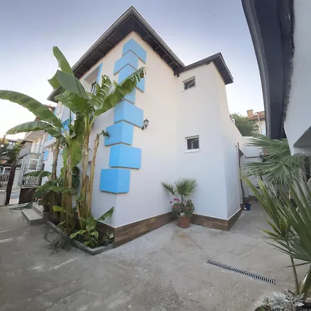 оазис сарай - Carevo