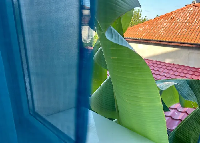 Pensiune оазис сарай -